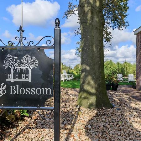 B&B Blossom Лисе Екстериор снимка