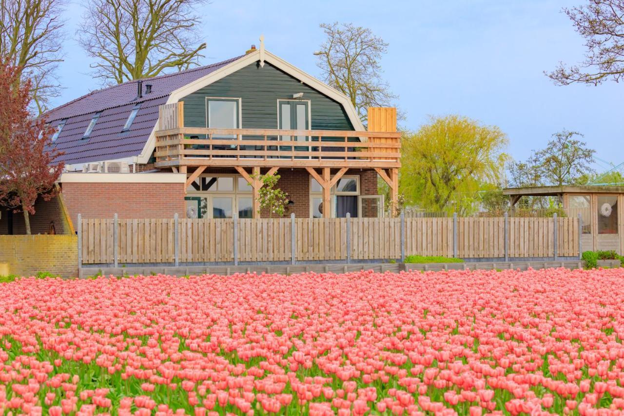 B&B Blossom Лисе Екстериор снимка